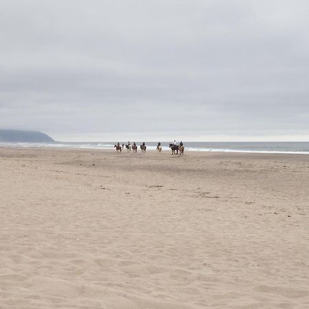 Pelican Villa Пасифик Сити Екстериор снимка